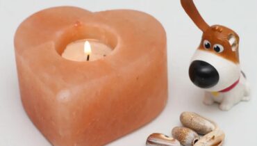 Spring – Summer  Trending 2021