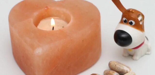 Spring – Summer  Trending 2021